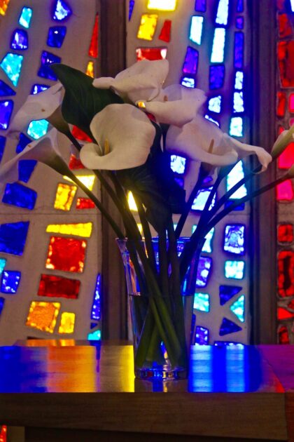 Vase of white calla lily flowers in front of a stained-glass window
